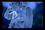 Photo4