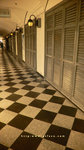 Photo10