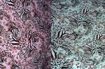 leopard_lycra_fabric