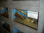 DSC02880