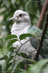 20D_IMG_000090