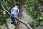 20D_IMG_000096