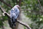 20D_IMG_000099