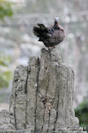 20D_IMG_000112