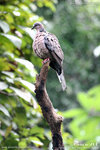 20D_IMG_000182