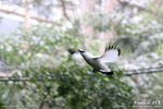 20D_IMG_000215