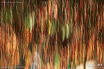20D_IMG_006738