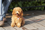 20D_IMG_006237