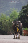 20D_IMG_012040