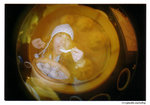 lomofisheye2_000020