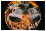 lomofisheye2_000024