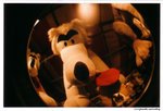 lomofisheye2_000031