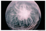 lomofisheye2_000033