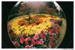 lomofisheye2_000034
