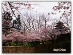 

Day 3 - �b����