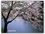 

Day 3 - �b����