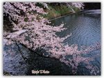 
Day 3 - �b����