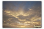 20060611007