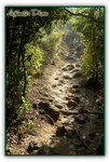 ROAD