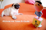 Minitoba1