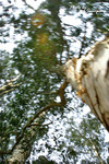 SingMun929_07