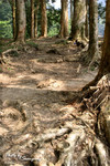 SingMun929_08