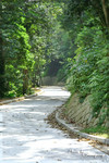SingMun929_11