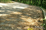 SingMun929_12