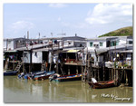 Tai O_08
