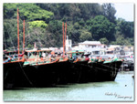 Tai O_10