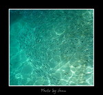 DSC_3510int