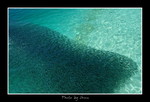 DSC_3511int