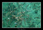 DSC_3549int