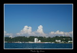 DSC_3553int