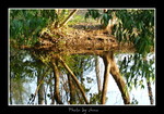 DSC_2594int