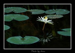 DSC_2595int