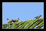 DSC_2673int