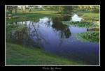 DSC_2812int
