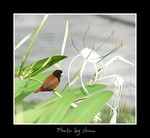 DSC_3059int