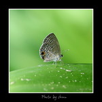 DSC_3083int