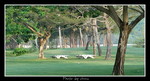 DSC_3378int