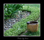 DSC_3383int