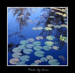 DSC_3566int