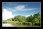 DSC_3157int
