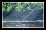 DSC_3192int