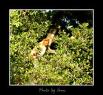 DSC_3209bint