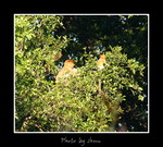 DSC_3213int
