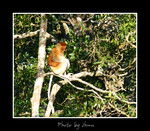 DSC_3243bint
