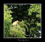 DSC_3257int