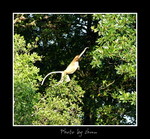 DSC_3258int